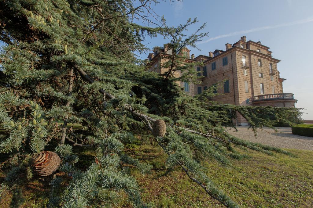 Marchesi Alfieri - Cantine E Ospitalita San Martino Alfieri Bagian luar foto